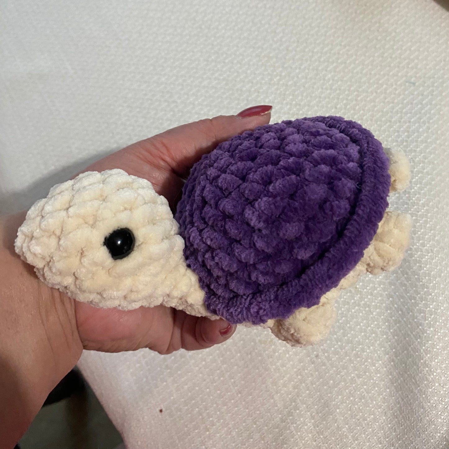 Small Land Turtles