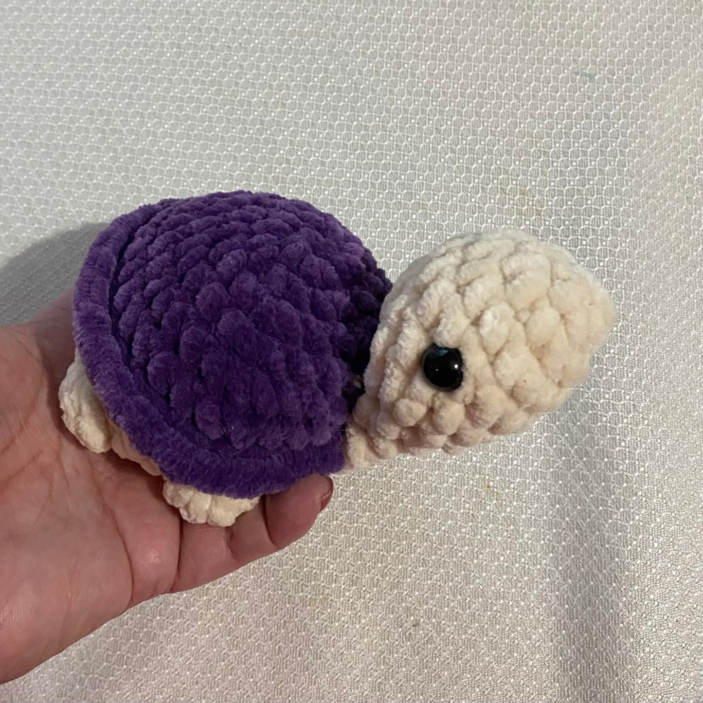 Small Land Turtles