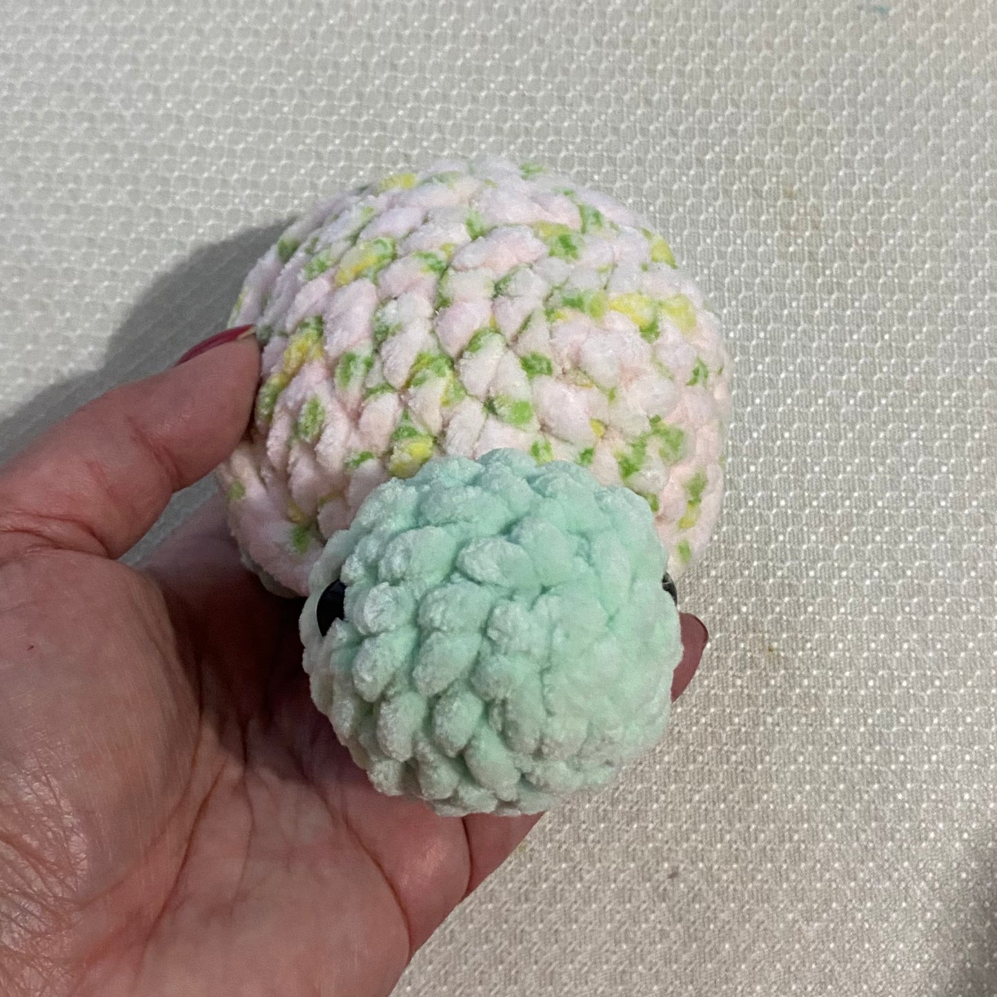 Small Land Turtles