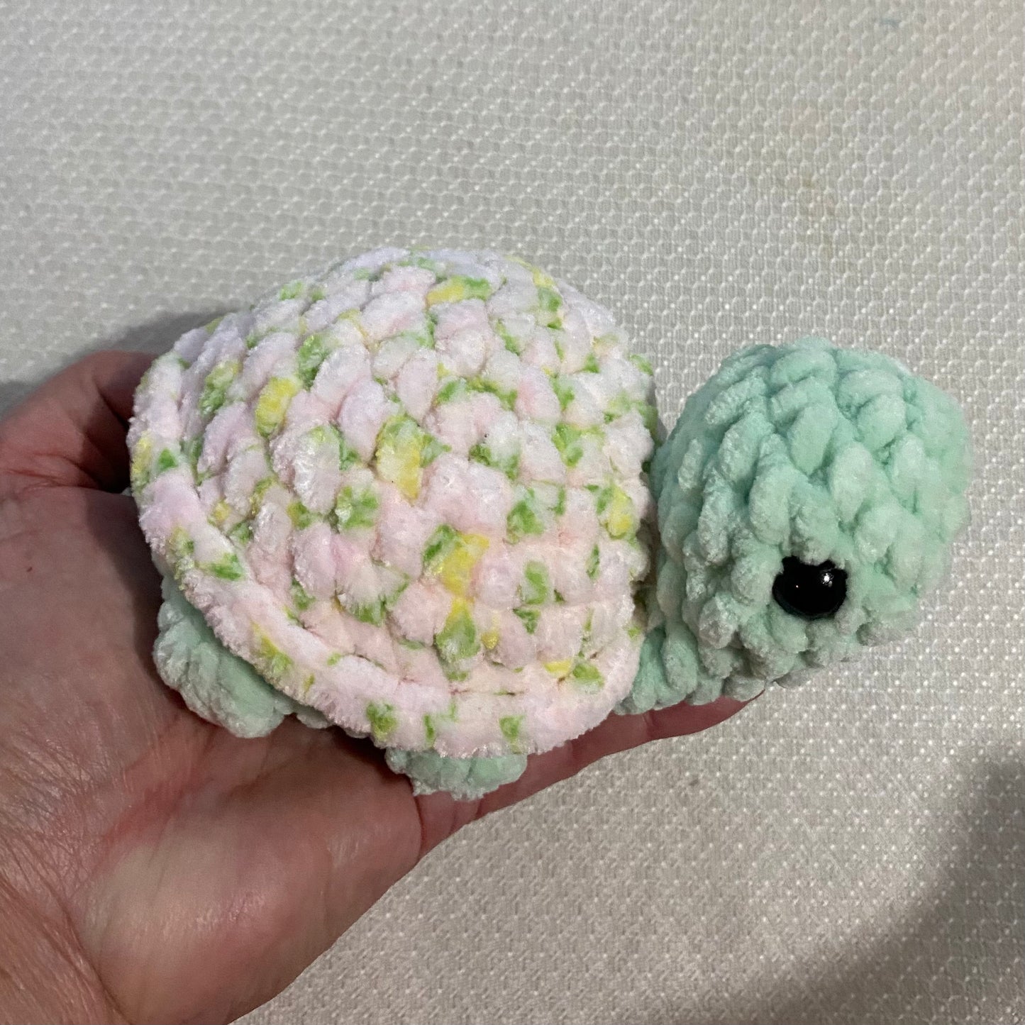 Small Land Turtles