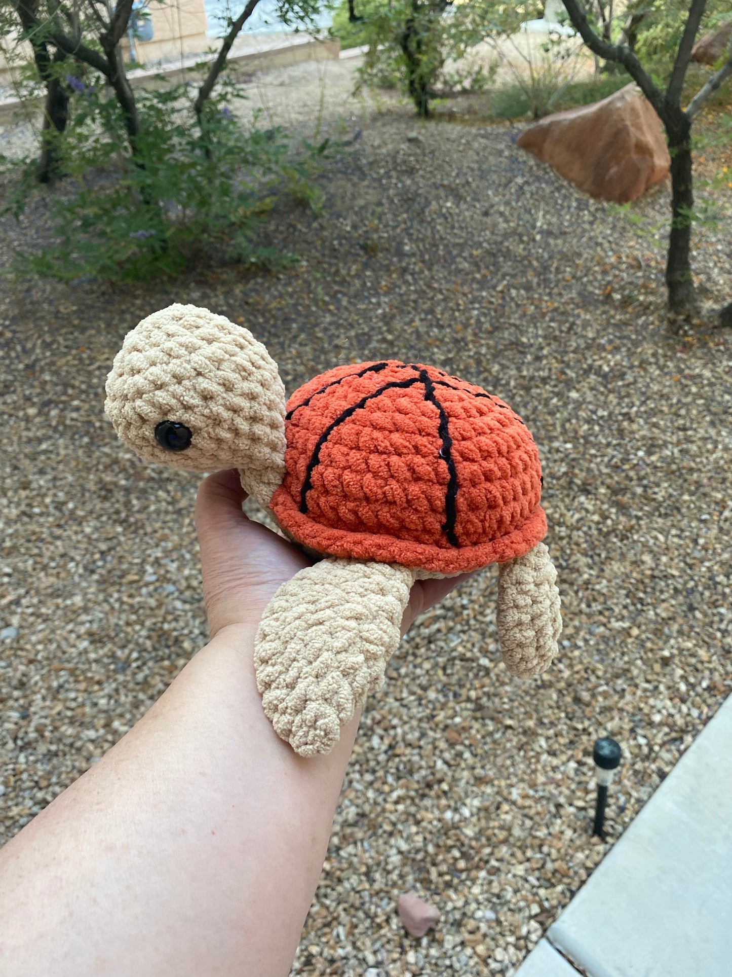 Basketball Turtle