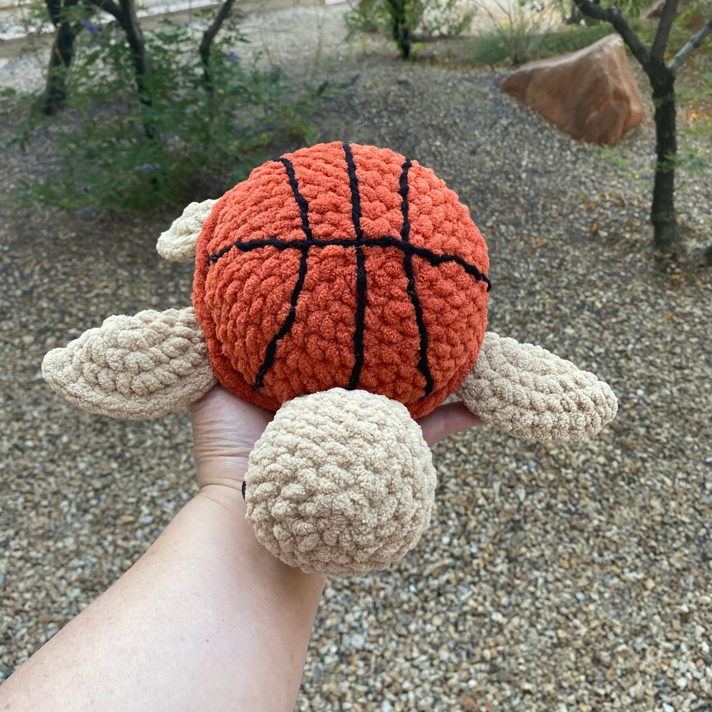 Basketball Turtle