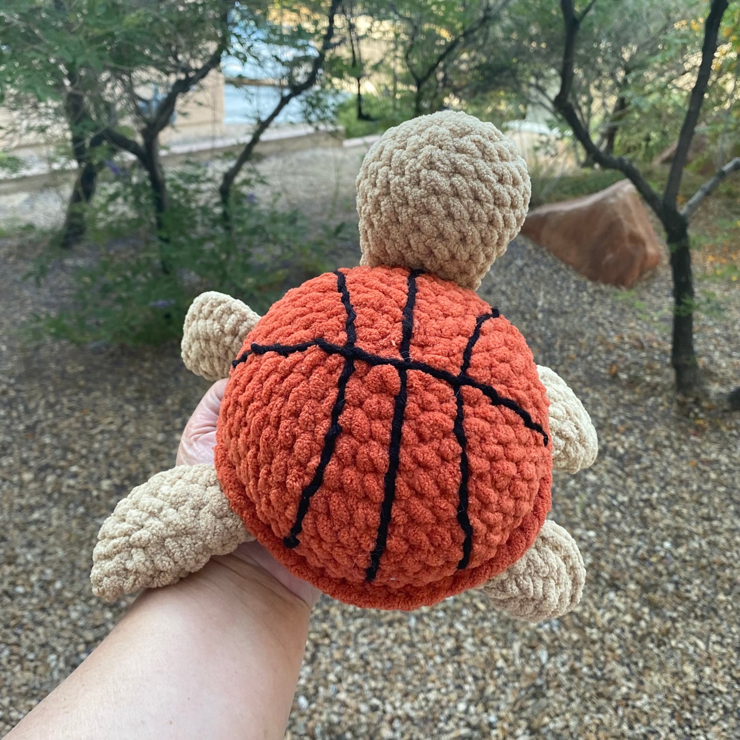Basketball Turtle