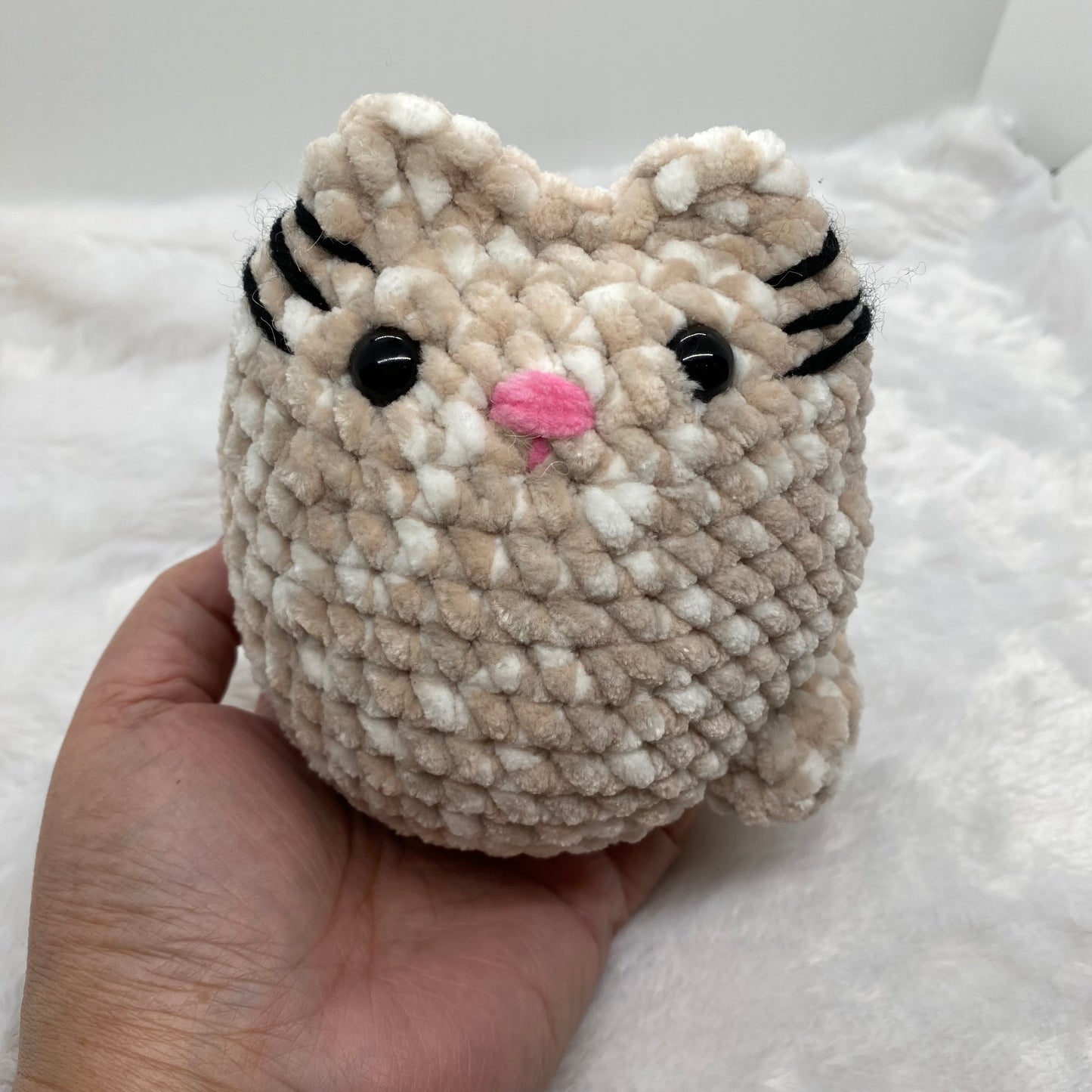 Pusheen Cat