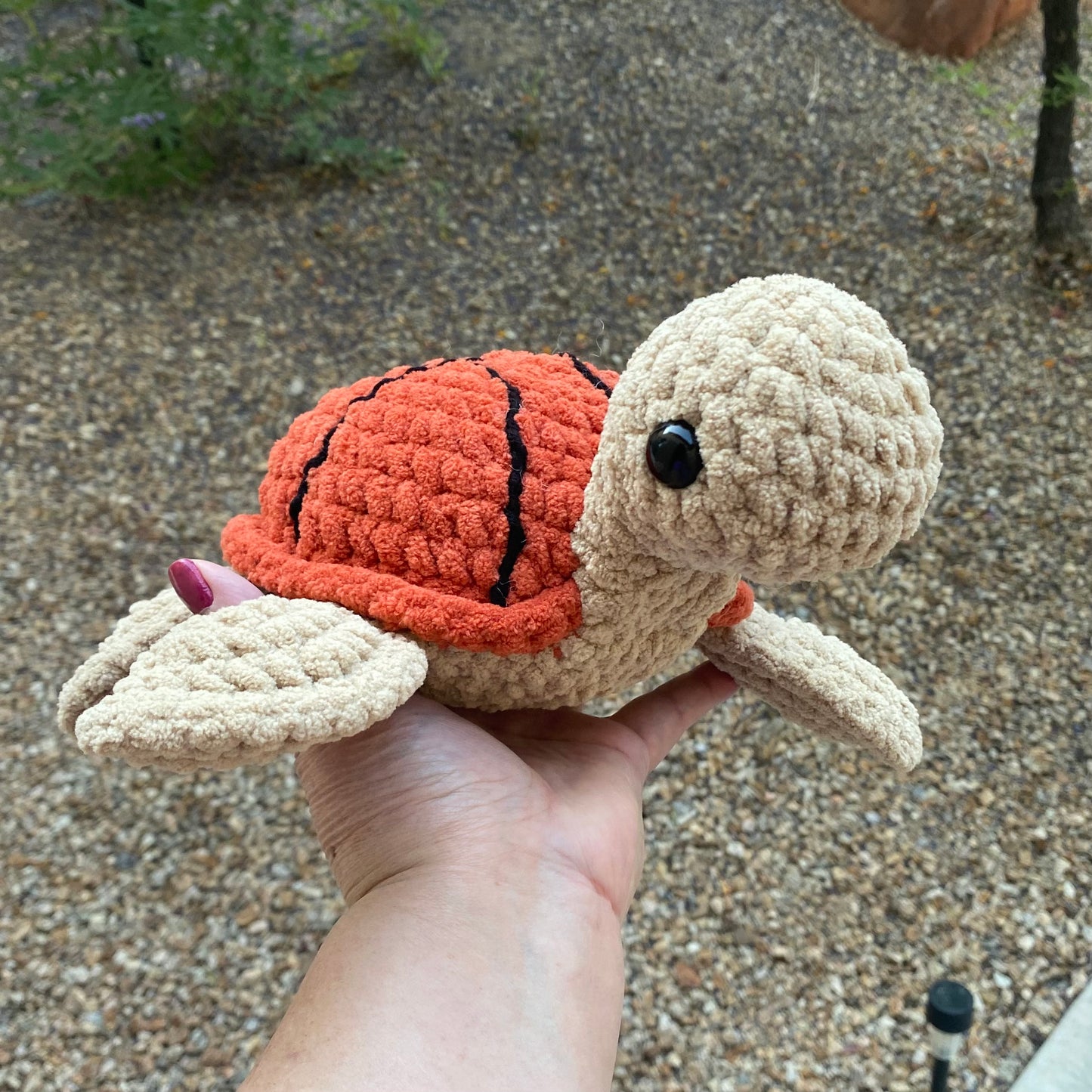 Basketball Turtle