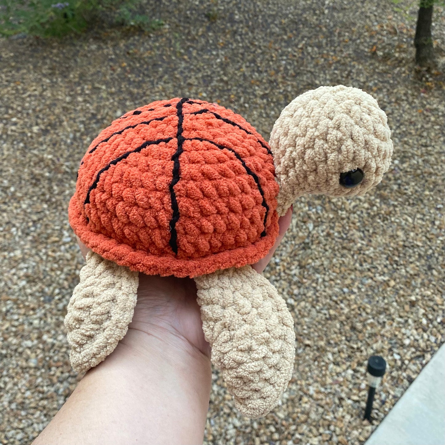 Basketball Turtle
