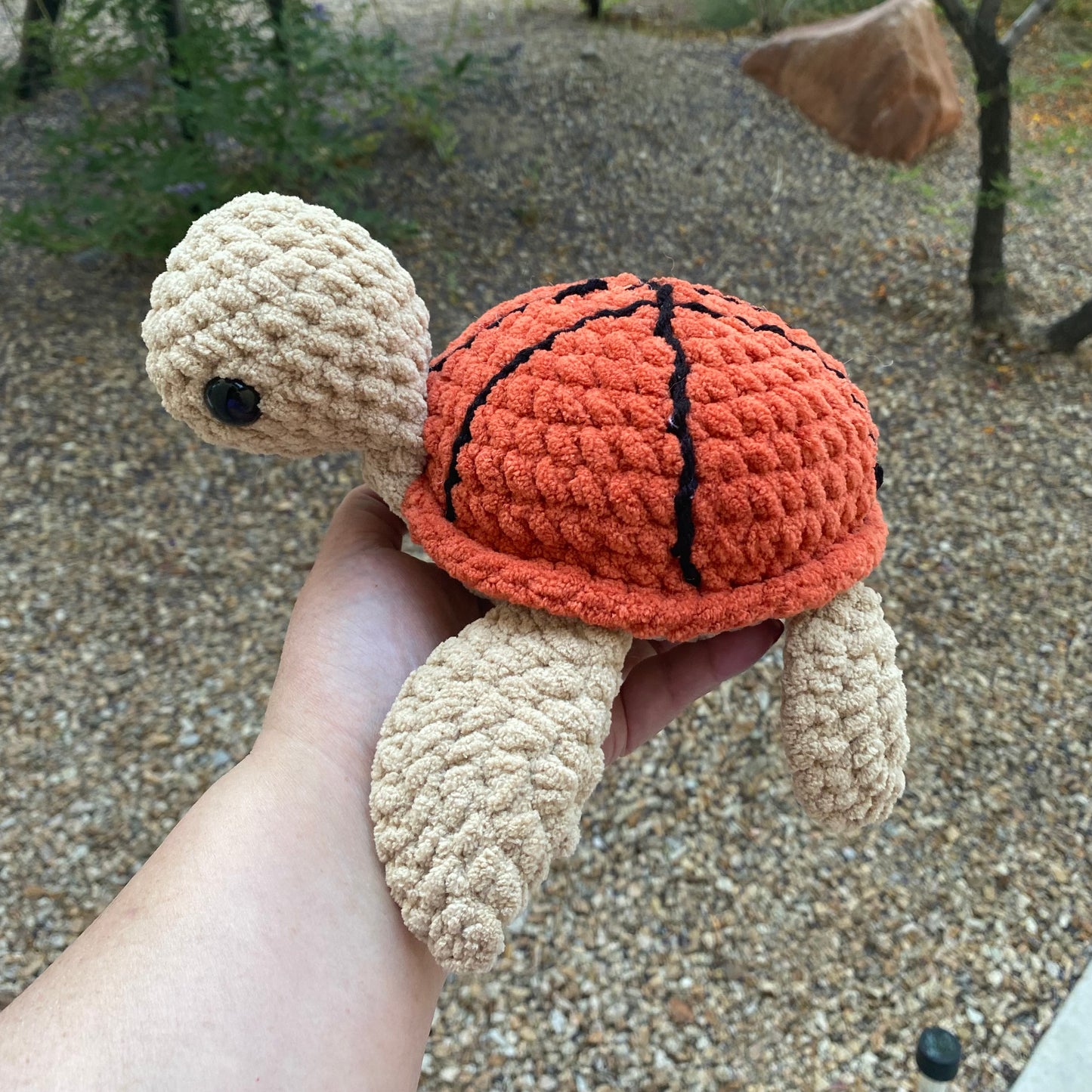 Basketball Turtle