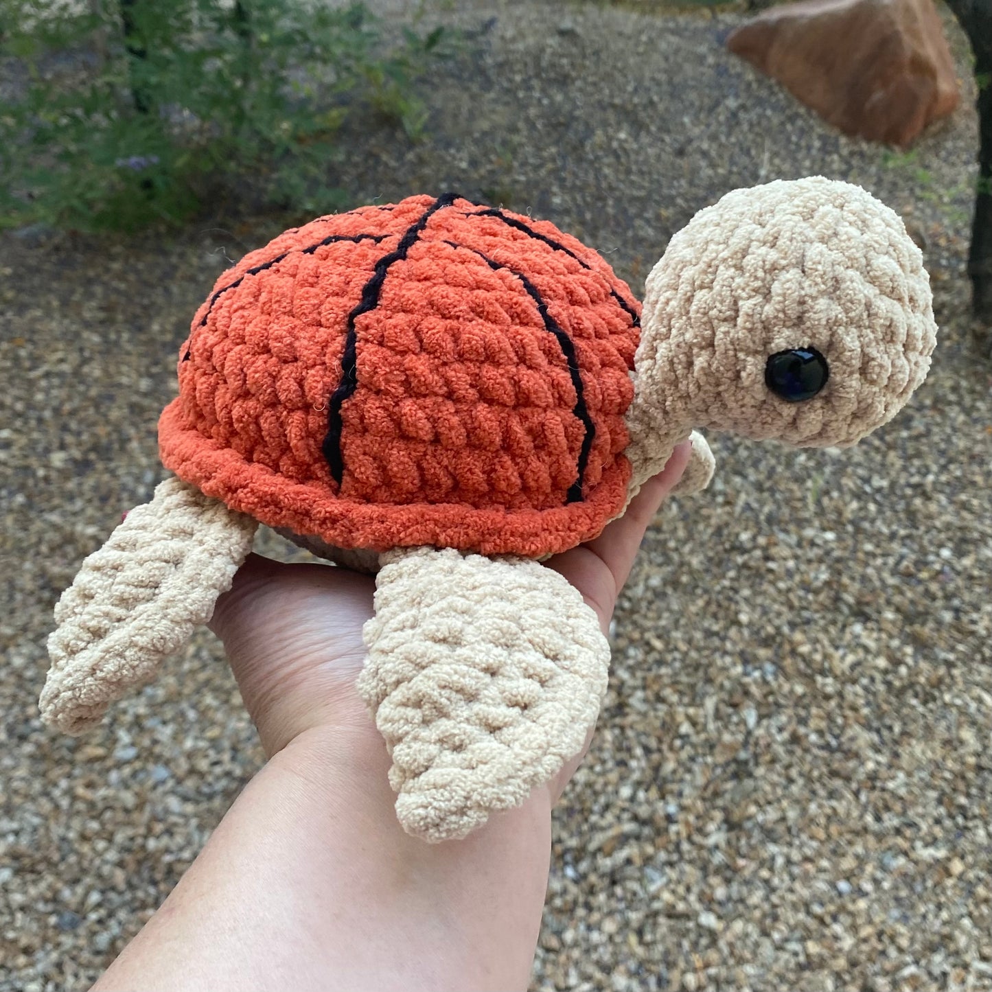 Basketball Turtle