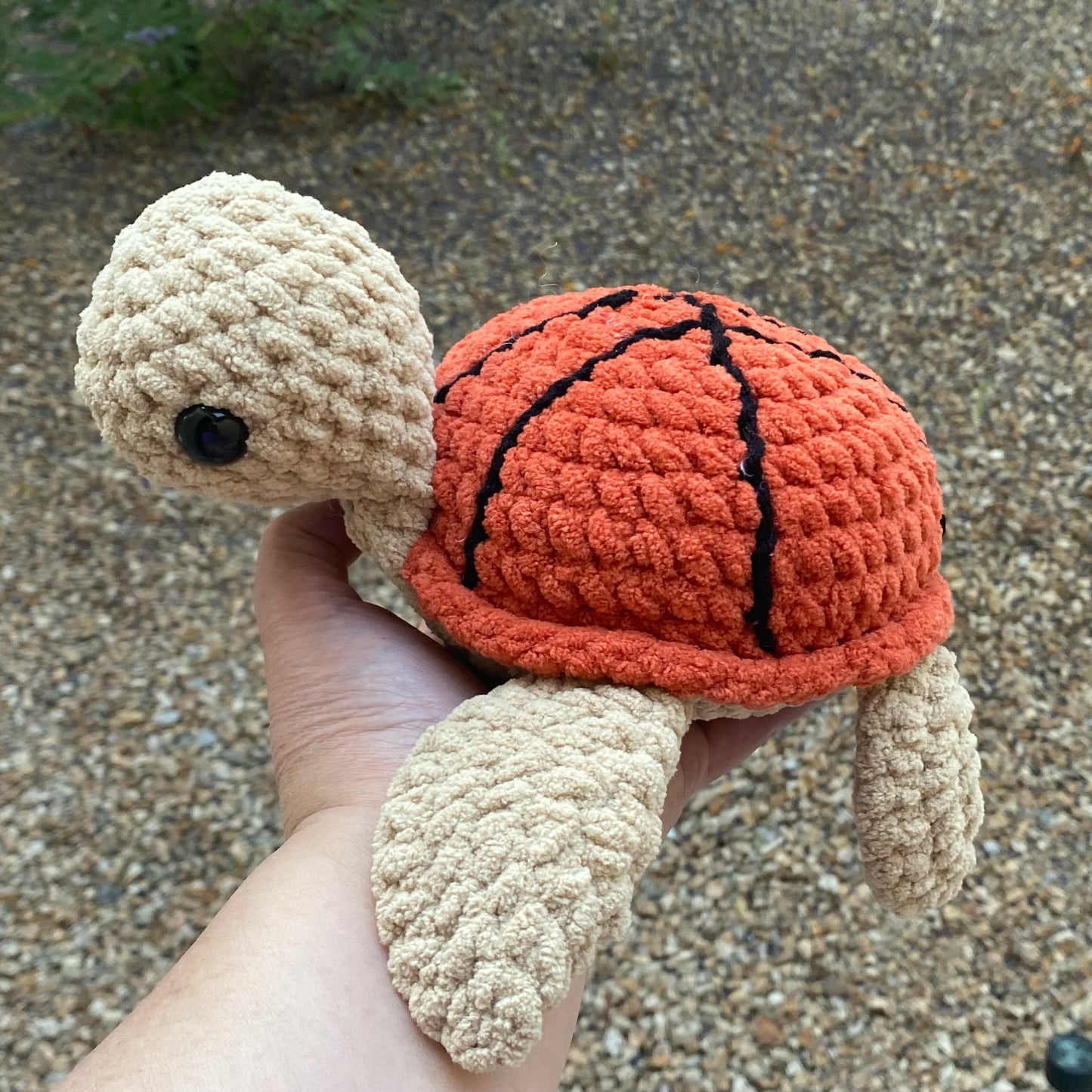 Basketball Turtle