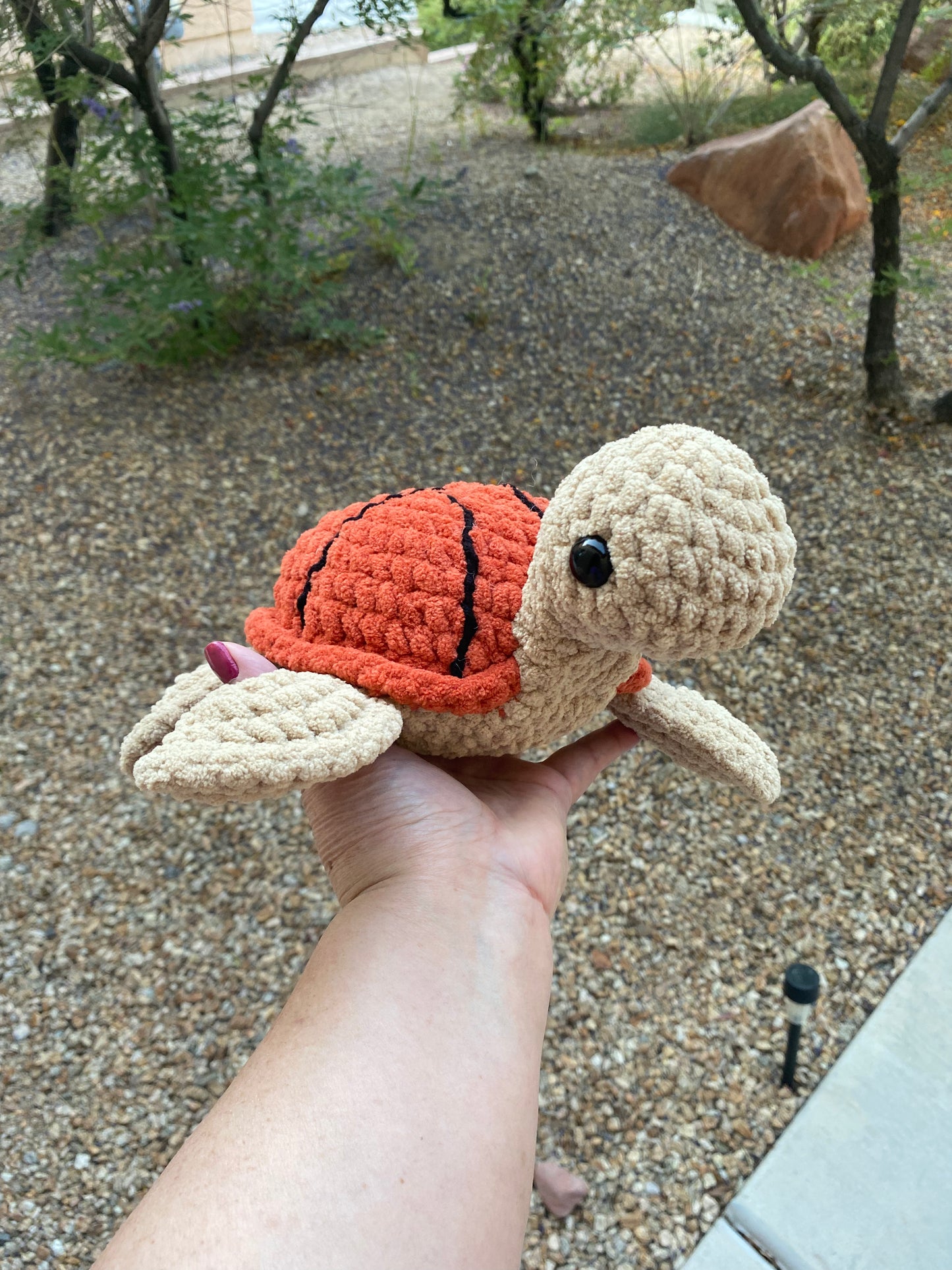 Basketball Turtle