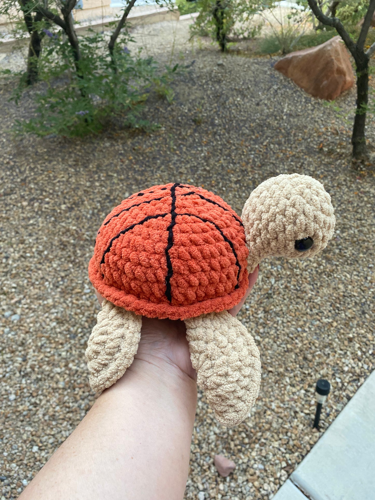 Basketball Turtle