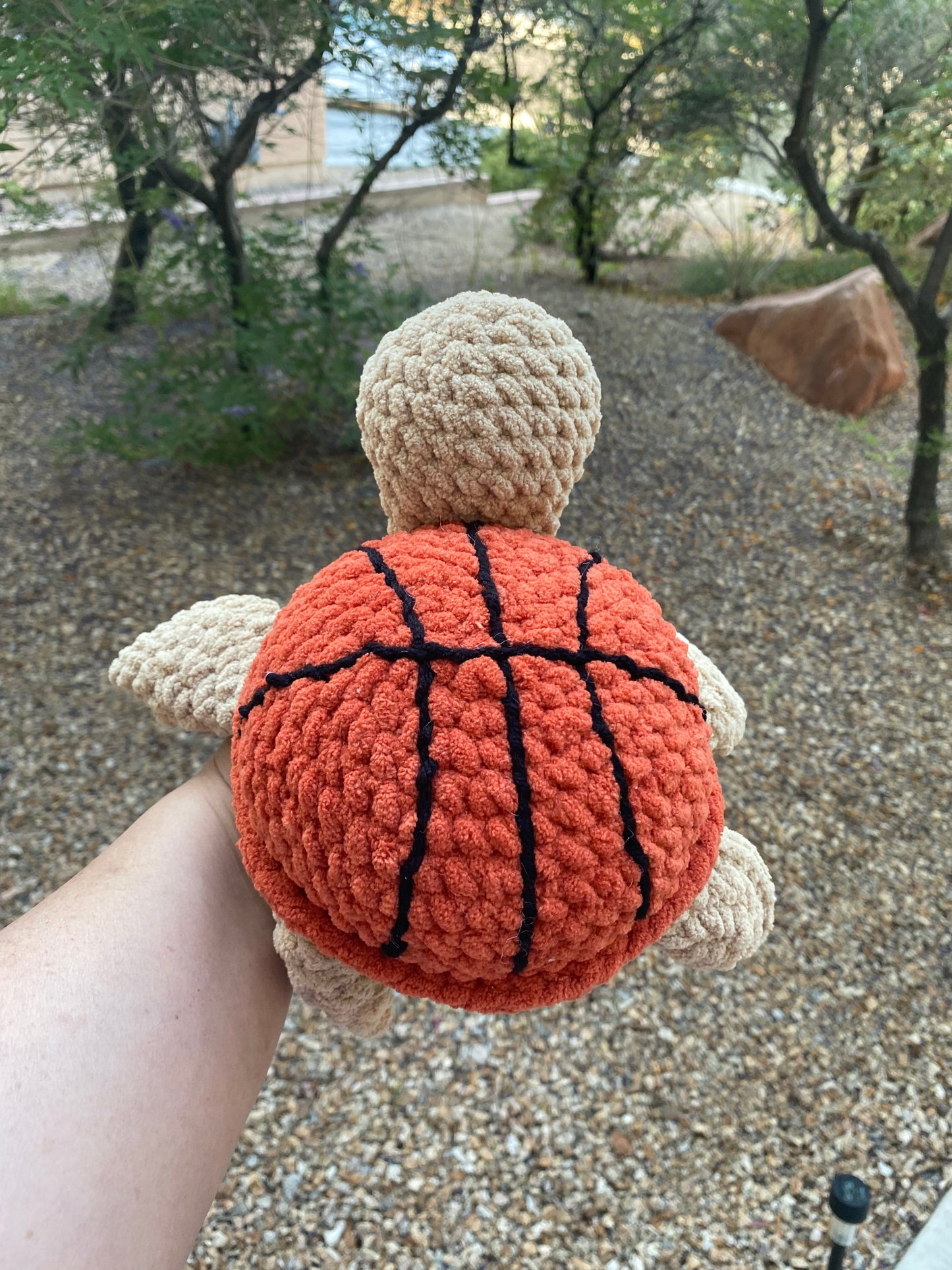 Basketball Turtle
