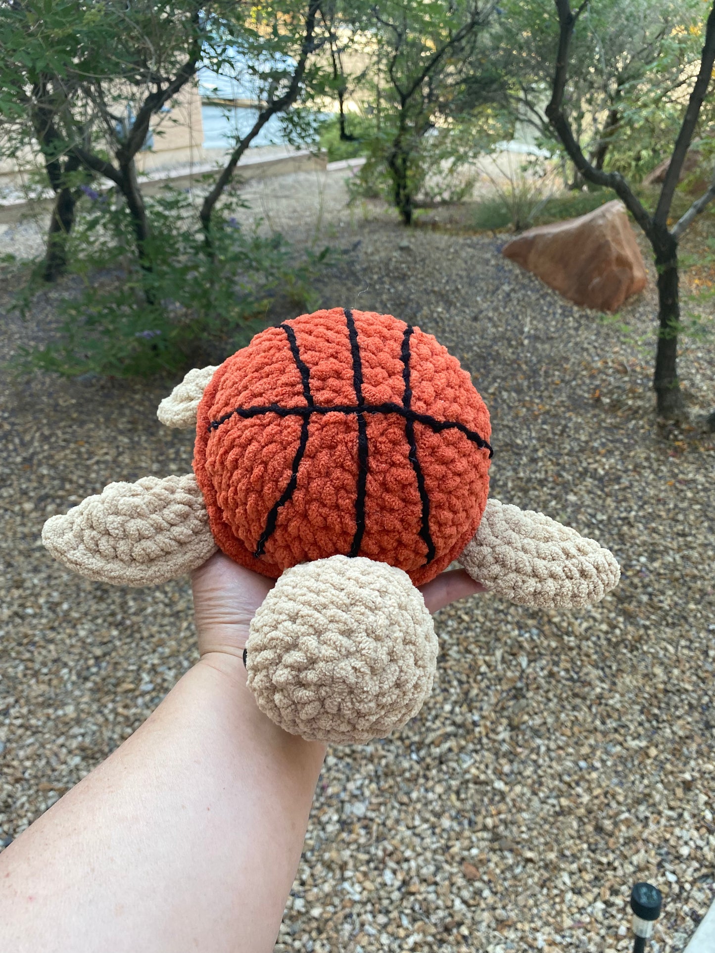 Basketball Turtle