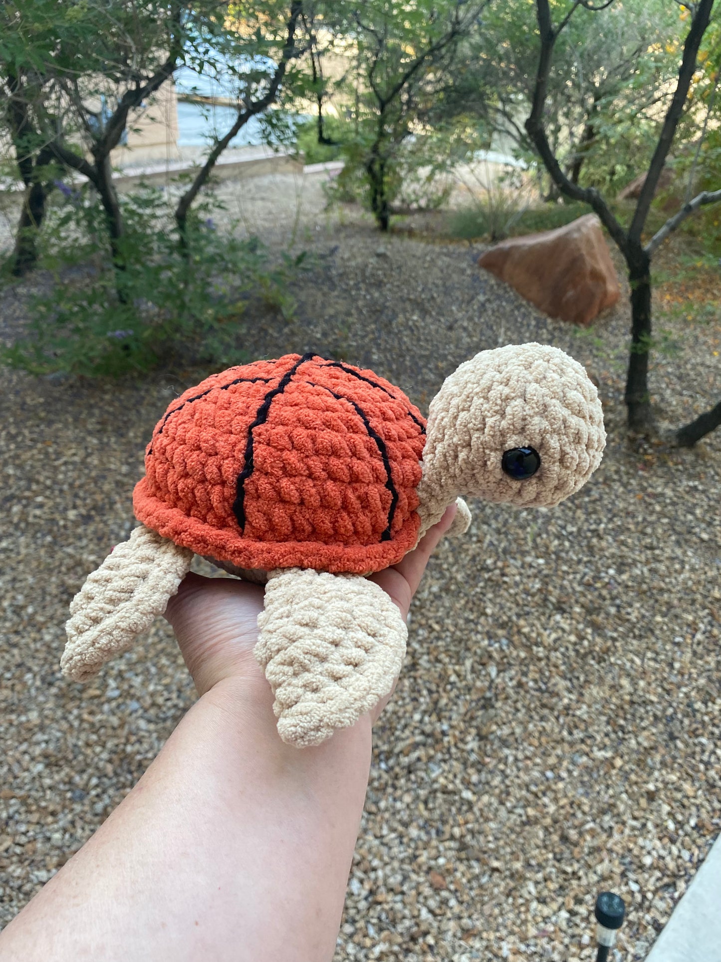 Basketball Turtle